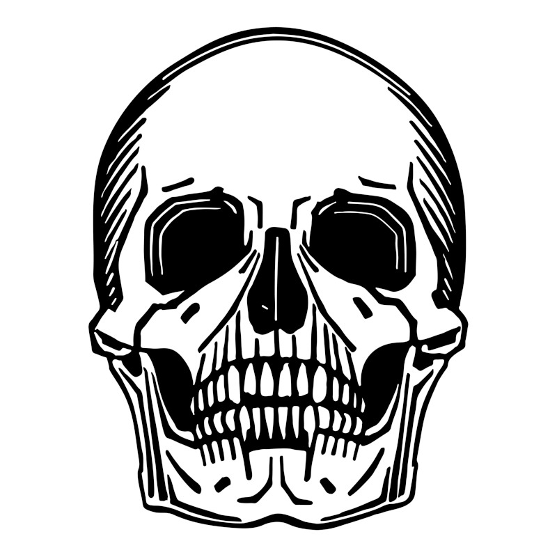 Skull Line Drawing